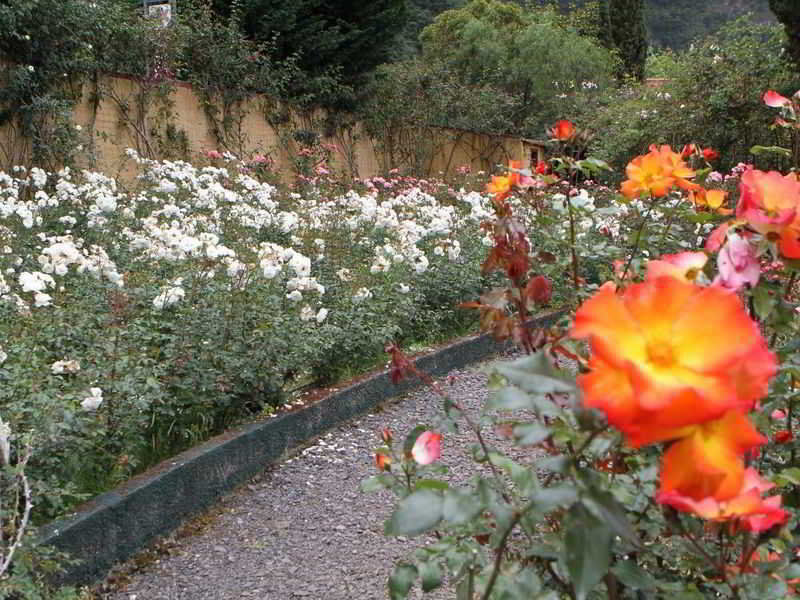 Pestana Quinta Do Arco Nature & Rose Garden Hotel Arco de São Jorge Екстериор снимка